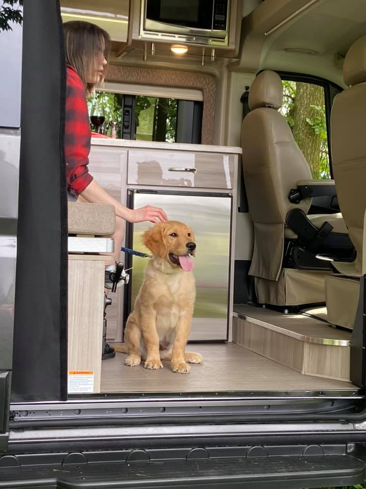 RVs vs. Hotels Traveling with Pets